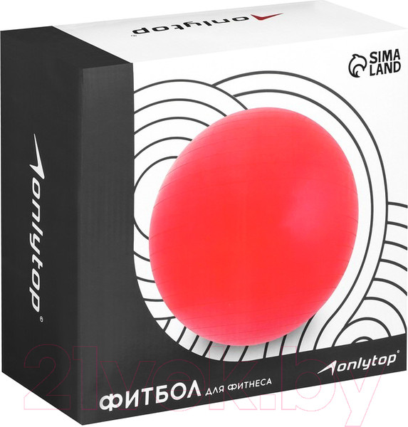 Изображение товара Фитбол гладкий Onlytop 3543998 (серый)