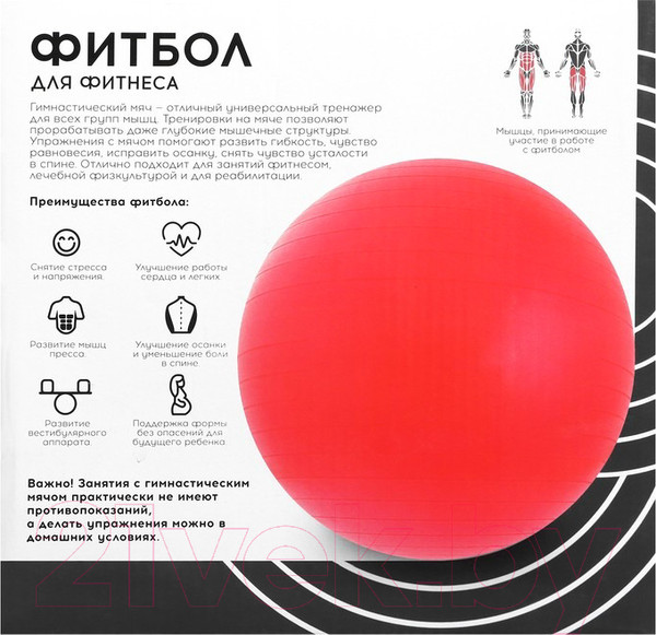 Изображение товара Фитбол гладкий Onlytop 3543998 (серый)