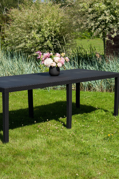 Изображение товара Стол пластиковый Ipae Progarden Prince 042980360 / PRI016AN