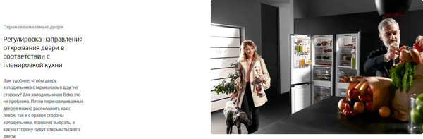 Изображение товара Холодильник с морозильником Beko DSMV5280MA0S