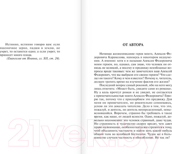 Изображение товара Книга АСТ Братья Карамазовы. Эксклюзивная классика. Лучшее (Достоевский Ф.М.)