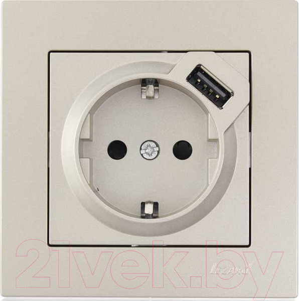 Изображение товара Розетка Lezard Vesna 742-3788-181