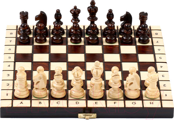 Изображение товара Шахматы Sima-Land Олимпийские 9234697