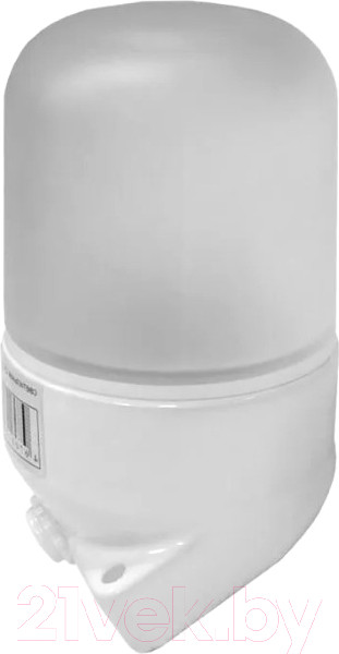 Изображение товара Светильник ЖКХ Везувий Угловой / 401