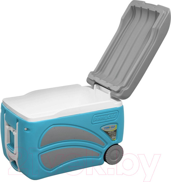 Изображение товара Термоконтейнер Pinnacle Proxon TPX-6001-45-B (45л, голубой)