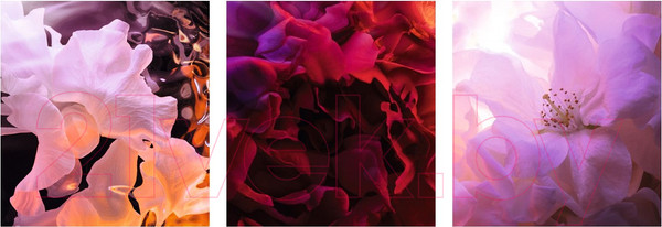 Изображение товара Парфюмерная вода Christian Dior J`adore Infinissime (30мл)