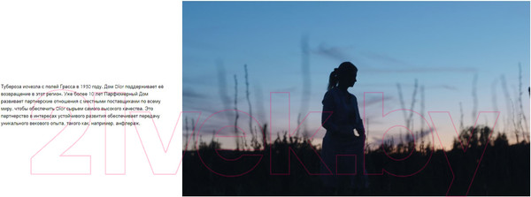 Изображение товара Парфюмерная вода Christian Dior J`adore Infinissime (30мл)