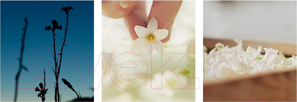 Изображение товара Парфюмерная вода Christian Dior J`adore Infinissime (30мл)