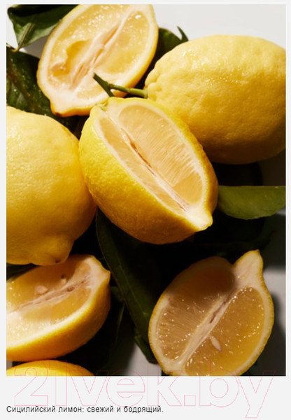 Изображение товара Туалетная вода Dolce&Gabbana Light Blue Pour Homme (40мл)