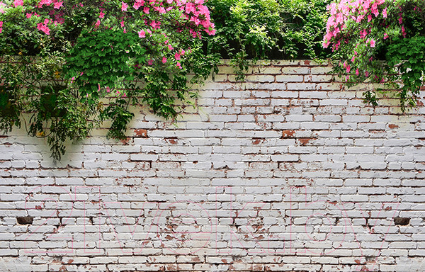 Изображение товара Фотофасад Arthata FotoSetka-100-28 (100x156)