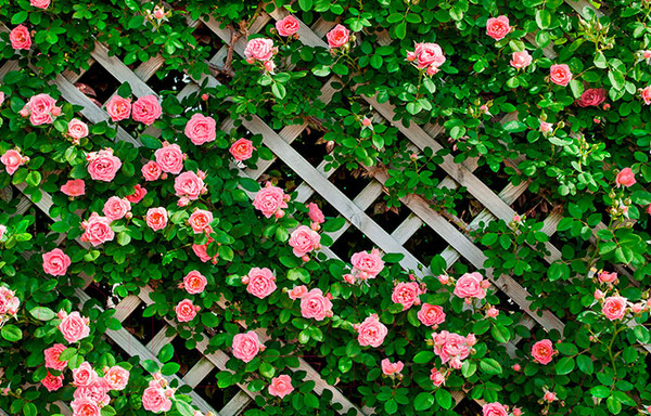 Изображение товара Фотофасад Arthata FotoSetka-100-78 (100x156)