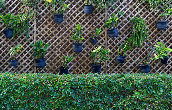 Изображение товара Фотофасад Arthata FotoSetka-100-82 (100x156)