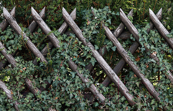 Изображение товара Фотофасад Arthata FotoSetka-100-83 (100x156)