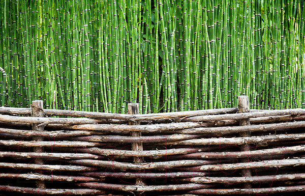 Изображение товара Фотофасад Arthata FotoSetka-100-89 (100x156)