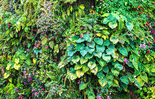 Изображение товара Фотофасад Arthata FotoSetka-100-9 (100x156)