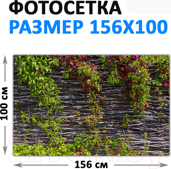 Изображение товара Фотофасад Arthata FotoSetka-100-90 (100x156)