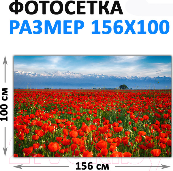 Изображение товара Фотофасад Arthata FotoSetka-100-36 (100x156)