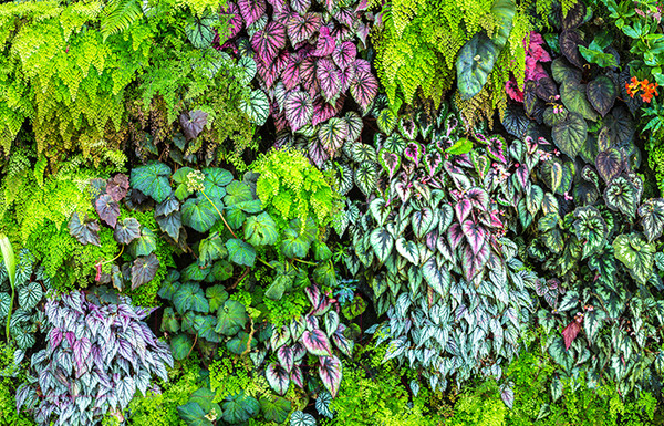 Изображение товара Фотофасад Arthata FotoSetka-100-13 (100x156)