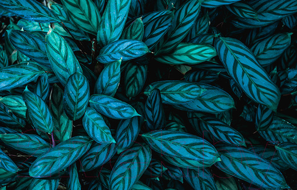 Изображение товара Фотофасад Arthata FotoSetka-100-14 (100x156)