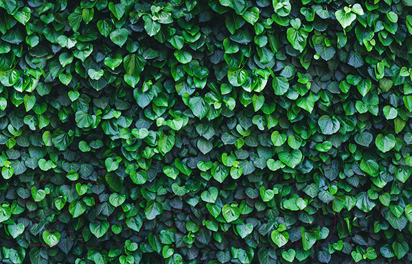 Изображение товара Фотофасад Arthata FotoSetka-100-15 (100x156)