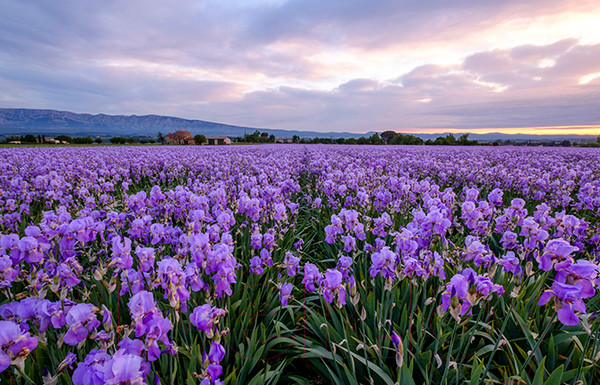 Изображение товара Фотофасад Arthata FotoSetka-100-38 (100x156)