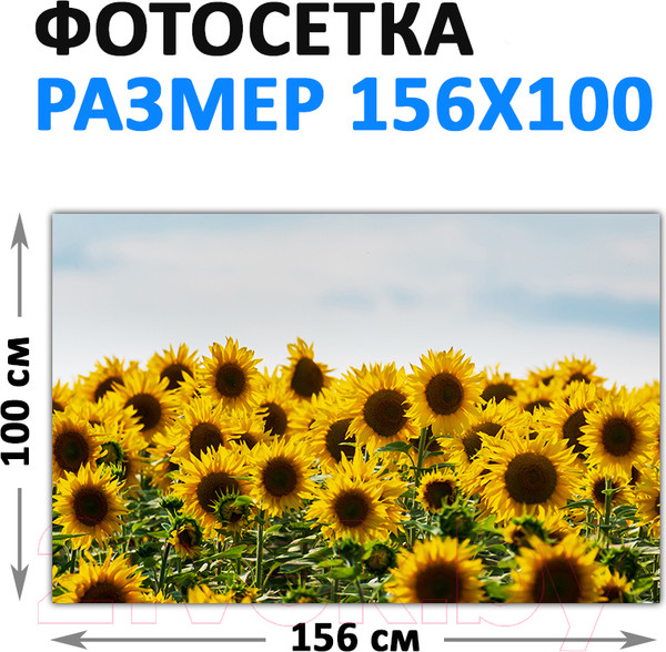 Изображение товара Фотофасад Arthata FotoSetka-100-39 (100x156)