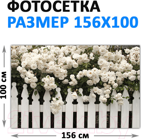 Изображение товара Фотофасад Arthata FotoSetka-100-46 (100x156)