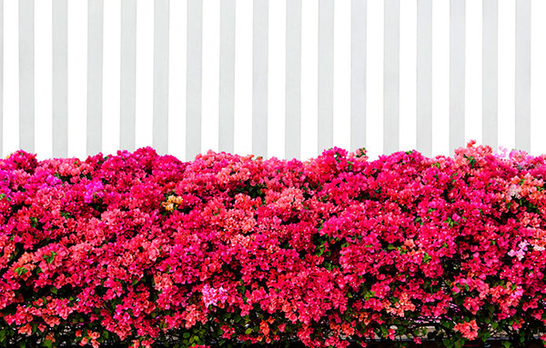 Изображение товара Фотофасад Arthata FotoSetka-100-49 (100x156)