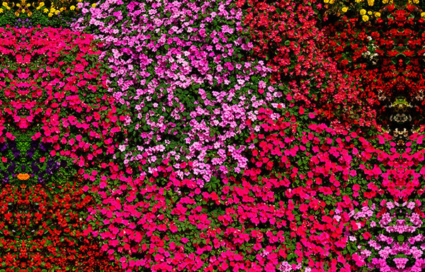 Изображение товара Фотофасад Arthata FotoSetka-100-51 (100x156)