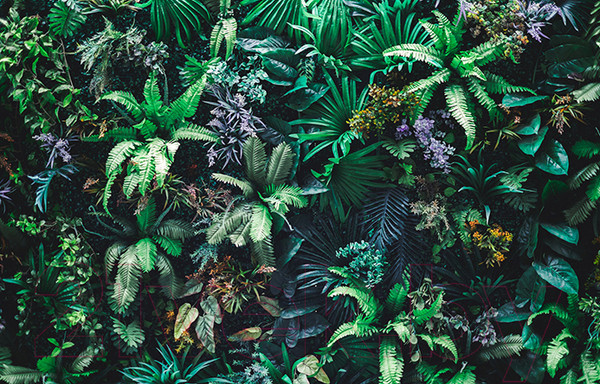 Изображение товара Фотофасад Arthata FotoSetka-100-11 (100x156)