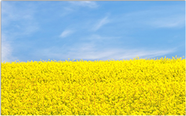 Изображение товара Фотофасад Arthata Луг / FotoSetka-250-41 (250x156)