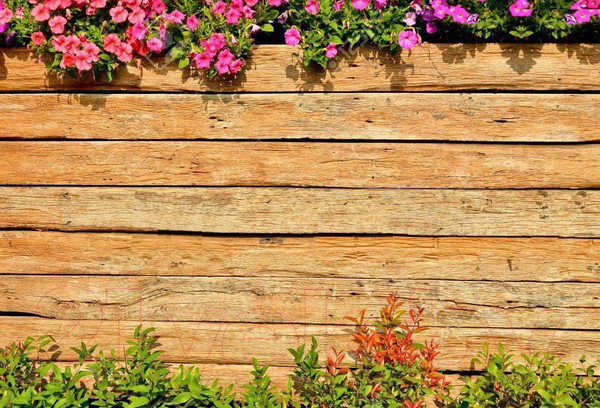 Изображение товара Фотофасад Arthata Дерево / FotoSetka-250-45 (250x156)