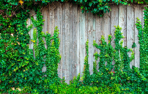 Изображение товара Фотофасад Arthata FotoSetka-100-56 (100x156)