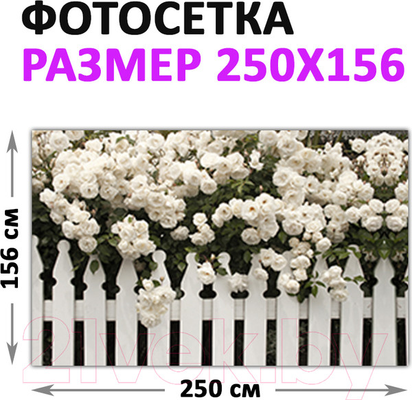 Изображение товара Фотофасад Arthata Розы / FotoSetka-250-46 (250x156)