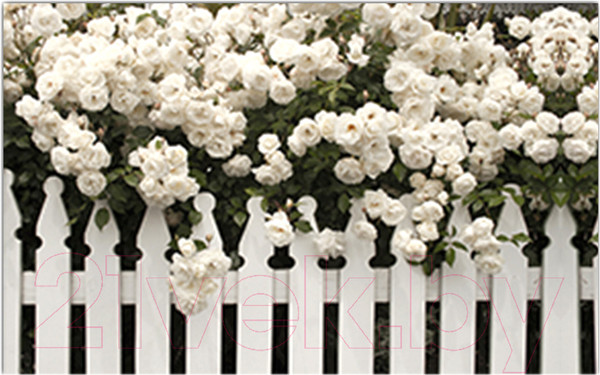 Изображение товара Фотофасад Arthata Розы / FotoSetka-250-46 (250x156)