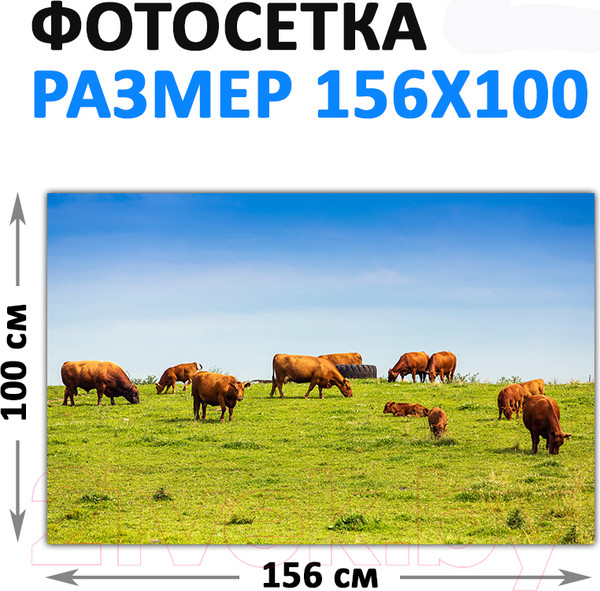 Изображение товара Фотофасад Arthata FotoSetka-100-21 (100x156)