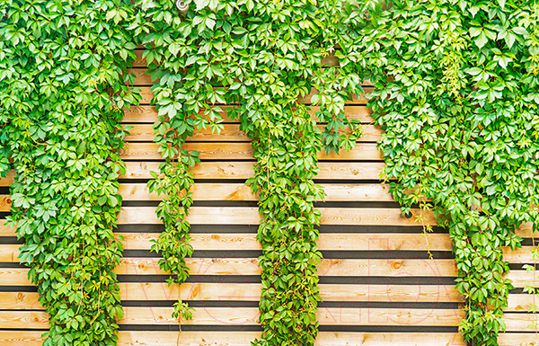 Изображение товара Фотофасад Arthata FotoSetka-100-61 (100x156)