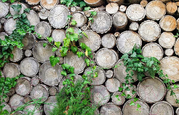 Изображение товара Фотофасад Arthata FotoSetka-100-62 (100x156)