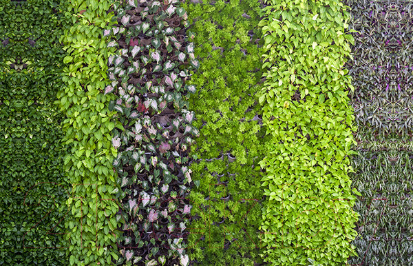 Изображение товара Фотофасад Arthata FotoSetka-100-64 (100x156)