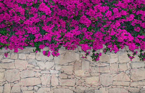 Изображение товара Фотофасад Arthata FotoSetka-100-68 (100x156)