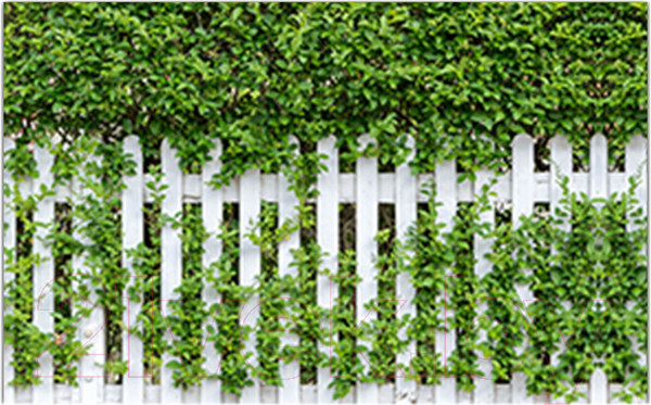 Изображение товара Фотофасад Arthata Штакет / FotoSetka-250-53 (250x156)