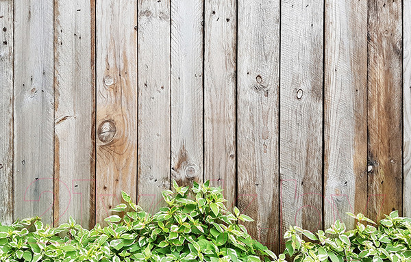 Изображение товара Фотофасад Arthata Доски / FotoSetka-250-55 (250x156)