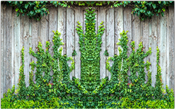 Изображение товара Фотофасад Arthata Плющ / FotoSetka-250-56 (250x156)