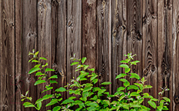 Изображение товара Фотофасад Arthata Дерево / FotoSetka-250-59 (250x156)