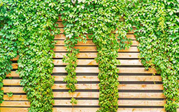 Изображение товара Фотофасад Arthata Зелень / FotoSetka-250-61 (250x156)