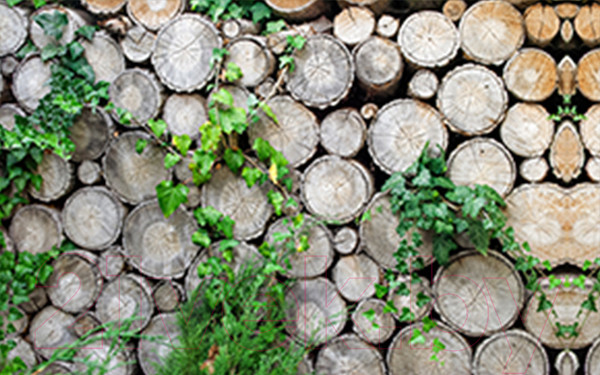 Изображение товара Фотофасад Arthata FotoSetka-250-62 (250x156)