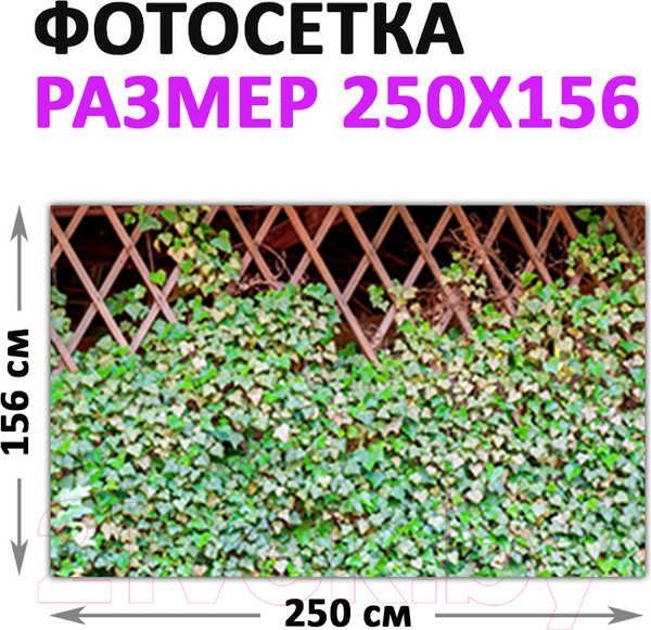 Изображение товара Фотофасад Arthata Плющ / FotoSetka-250-63 (250x156)