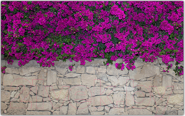 Изображение товара Фотофасад Arthata Цветы / FotoSetka-250-68 (250x156)