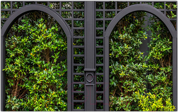 Изображение товара Фотофасад Arthata Кусты / FotoSetka-250-69 (250x156)