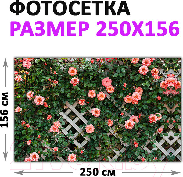 Изображение товара Фотофасад Arthata Цветы / FotoSetka-250-77 (250x156)